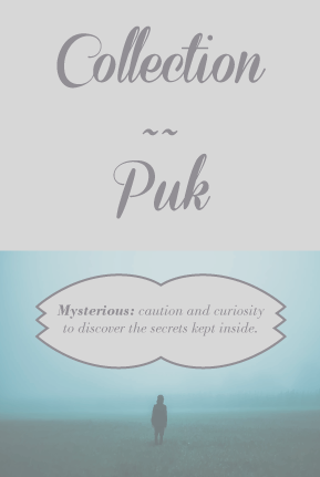 Iker Collection 4 tarjeton puk eng para web