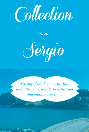 Carlos Collection 1 tarjeton sergio eng para web